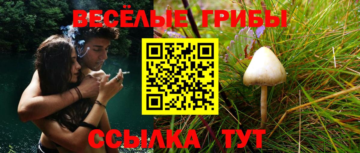 Псилоцибиновые грибы GOLDEN TEACHER  Вход с VPN  Новочеркасск 